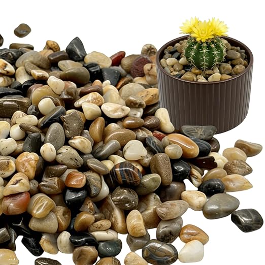 Lightly Polished Multicolored Washed Rice Stone, 3Lb, 3/8 Inch | Retain The Natural Texture of Stone, With Soft Luster and Transparent Color
