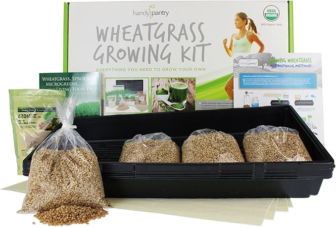Handy Pantry Wheatgrass Growing Kit - Hydroponic - Certified Organic - Non-GMO - Easy & Fast to Grow Wheat Grass at Home for Wheatgrass Shots & Cat Grass