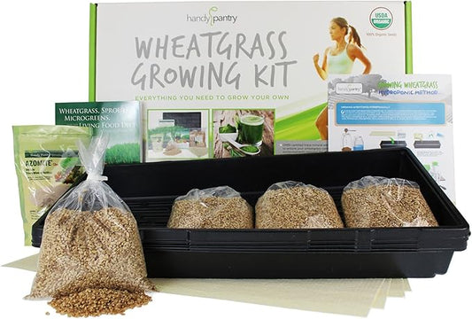 Handy Pantry Wheatgrass Growing Kit - Hydroponic - Certified Organic - Non-GMO - Easy & Fast to Grow Wheat Grass at Home for Wheatgrass Shots & Cat Grass