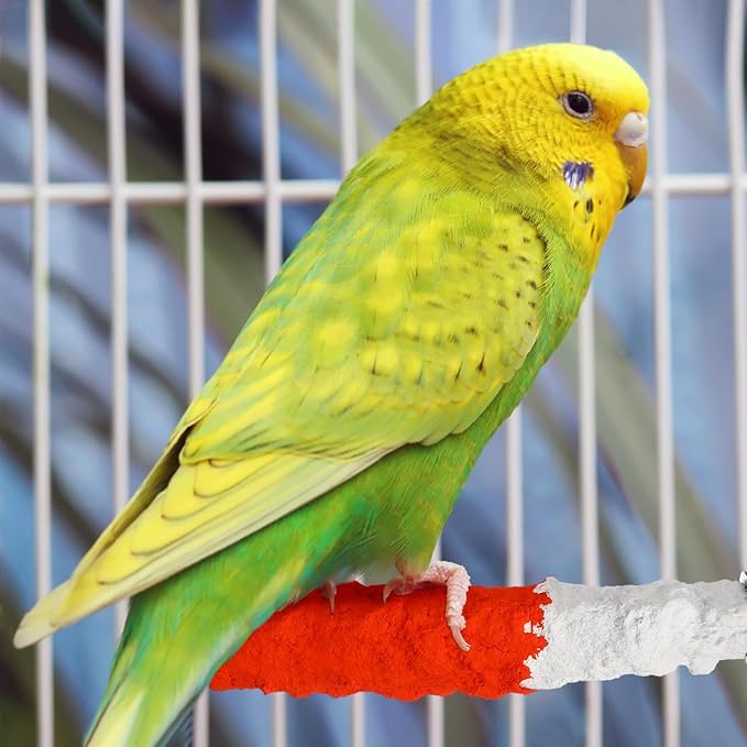 ULTECHNOVO Bird Perch Stand 6.88In Calcium Cuttlebone – High-Calcium Beak Grinding & Claw Trimming – for Parrot Cage for Cockatiel Conure African Grey