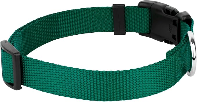 Country Brook Petz - Everyday Nylon Dog Collar and Leash - 10+ Cool Colors (3/4 Inch, Medium, Green)