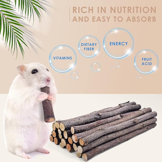 Bissap Apple Sticks for Rabbits, Natural Bunny Chew Toys and Treats for Chinchilla Guinea Pig Hamster Gerbil Small Animals Pet Apple Wood Stick Toys Teeth Grinding (120g/4.2oz)
