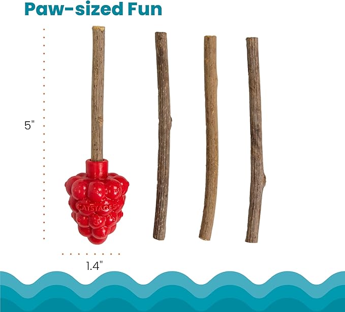 Catstages Dental Raspberry Teether with 4 Silvervine Sticks Included, Cat and Kitten Teething Toy, Red