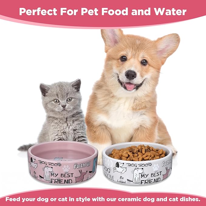 2 Pcs 5 Inch Ceramic Dog Bowls Dishes for Small Dogs Cute Cartoon Pattern Puppy Cat Bowls Heavy Food Water Dishes for Pets Feeding Travel, Dishwasher Safe Microwave Safe(Pink and Gray)