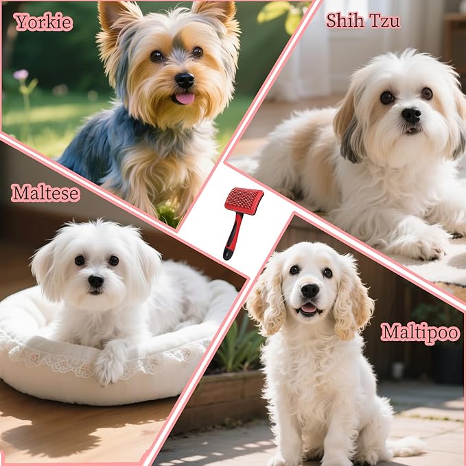 Self Cleaning Slicker Dog Brush for Small Long-Haired Breeds, One-Click Hair Removal, Puppy Essentials, Fit Yorkie, Shih Tzu, Maltese, Maltipoo, Pomeranian, Pet Grooming Tool (Black and Red)