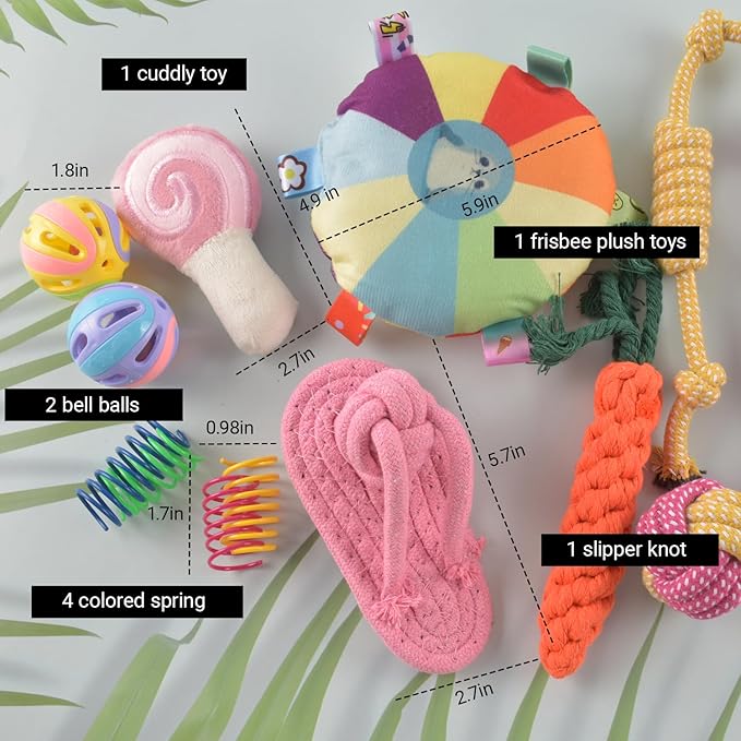13 Pack Ferret Toys Set, Colorful Chew Teething Rope Squeaky Interactive Sound Chewing Balls Exercise Scratch Toys for Ferrets Rat Small Animals (Multicolour)