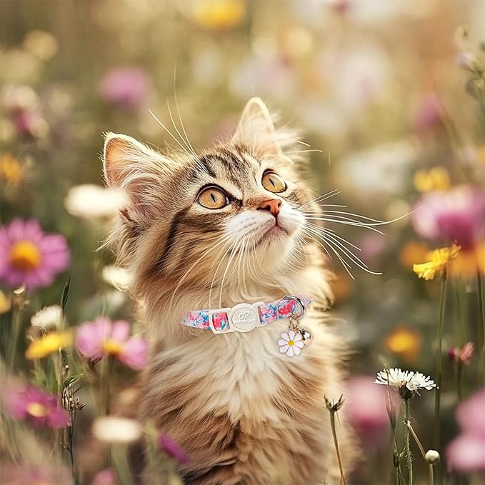 2 Pack Floral Cat Collars - Spring Summer Wildflower Breakaway Safety Cat Collars, Adjustable Soft Boy Girl Kitten Collar for Small Dogs Puppy, Cute Pet Collar with Bell & Pendant