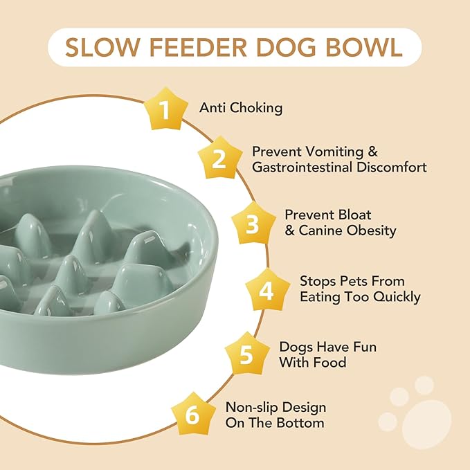 Havniva Ceramic 1.2 Cup Dog Bowl Slow Feeder, 7.3 inch Slow Pet Food Dish for Medium and Small Dog, Stop Bloat, Preventing Choking(Single Bowl, Light Green)