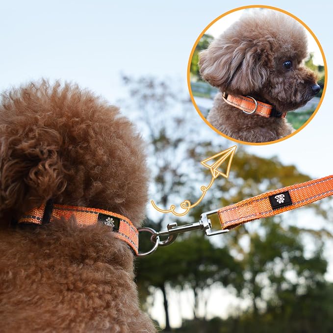 NESTROAD Dog Collar and Leash Set,Reflective Dog Collars with Quick Release Buckle,Adjustable Nylon Pet Collar for Small Medium Large Dogs(Large,Orange)