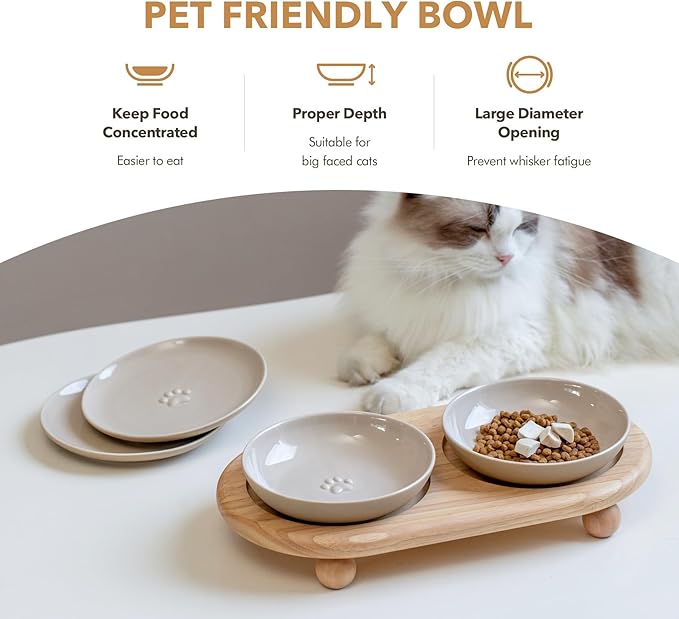 Havniva Elevated Cat Bowls, Ceramic Cat Food Bowl Whisker Friendly Cat Dishes, Kitten Food & Water Bowl with Two Heights Stand, Anti-Slip Raised Cat Food Plates