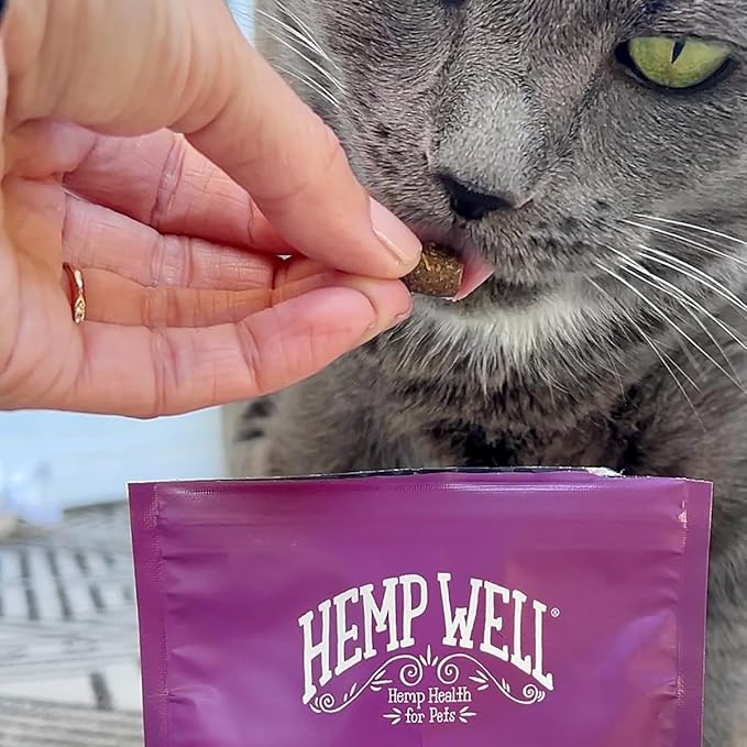 Hemp Well Cat Hairball Soft Chews for Cats, Hairball Control & Digestive Support, Organic Hemp Seed Powder, Pumpkin Seed & Psyllium Fiber, Skin & Coat Support, Chicken Cheese & Catnip Flavor, 60 Ct