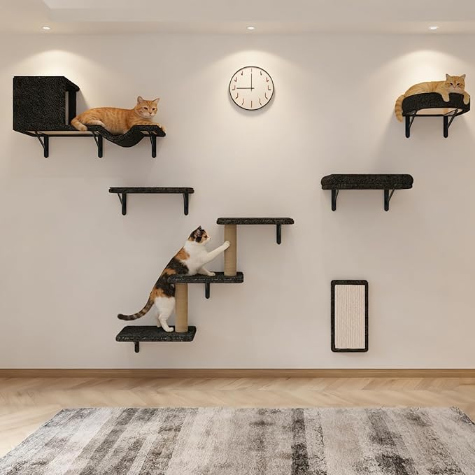 Cat Wall Shelves, 10-Piece Complete Cat Wall Furniture System with Perches and Scratching Posts, Stable Floating Climbing Set for Large Indoor Cats, Space Saving Kitty Furniture - Dark Gray