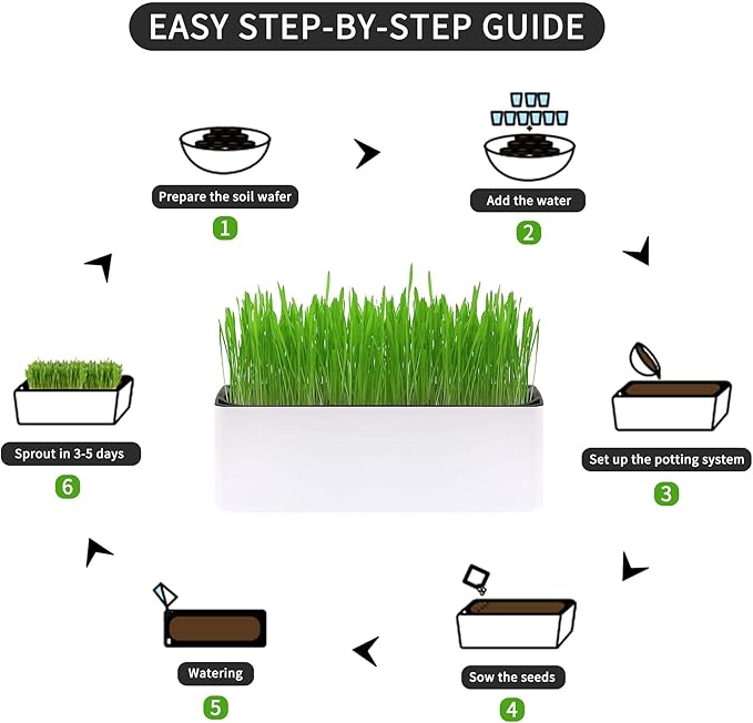 Cat Grass for Indoor Cats with Organic Cat Grass Seed Mix - Rectangular Planter | Fresh Indoor Cat Grass Garden | Perfect for Cats, Dogs & Small Pets
