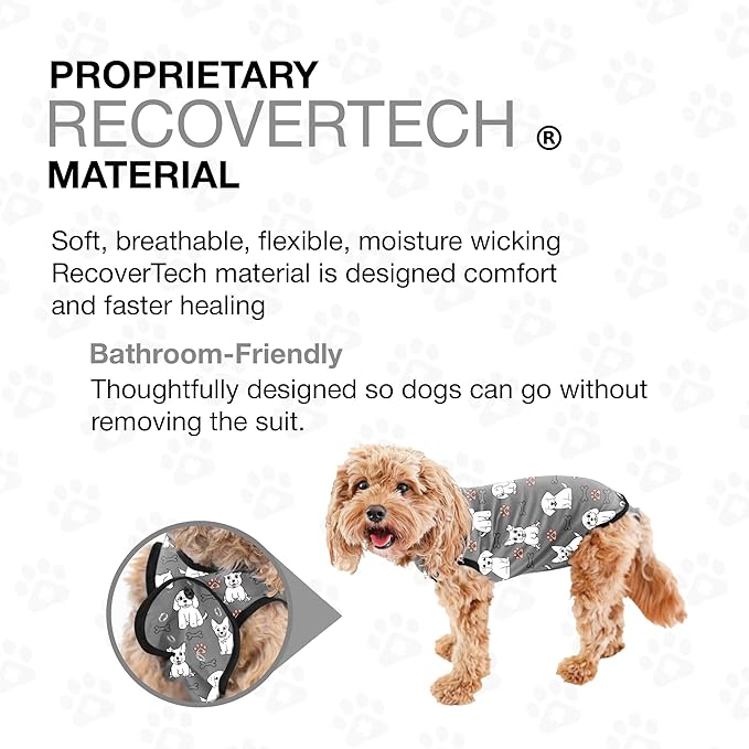 BellyGuard Dog Surgery Recovery Suit, Dog Onesie for Post-Op Care, Recovery Apparel for Female and Male, Surgical Body Cover for Canine Healing Support