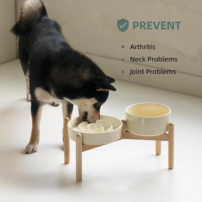 Havniva Ceramic 1.2 Cup Raised Slow Feeder Dog Bowl Set, Elevated 6.1inch Bowl and 7.3inch Puzzle Slow Food Dish with Wooden Stand for Medium and Small Dog, Anti-Gulping (2 xLight Yellow+ Stand)