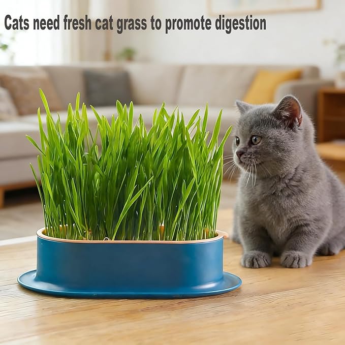 2Pcs Cat Grass Planter, Plastic Wheatgrass Planting Trays Hydroponic Cat Grass Growing Kits for Indoor Cats Soilless Nursery Box Pet Grass Pot (2 Color)