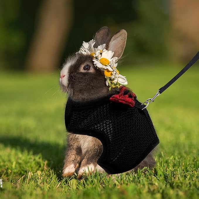ASOCEA Adjustable Bunny Harness and Leash Breathable Mesh Vest Harness for Rabbits Walking Soft Pet Harness Vest Cloth Lead for Small Animals Rabbits Ferret Kitten Black M