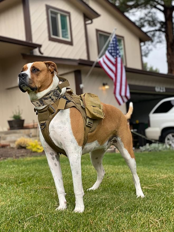 Tactical Dog Collar with Handle - Military Adjustable Dog Training Collar Soft Nylon and Heavy Duty Metal Buckle for Medium Large Dogs - with Patch (Camo with Patch, Large)