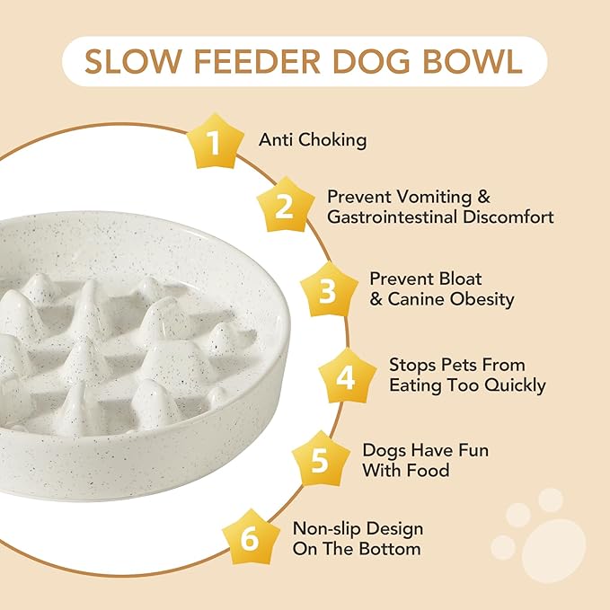 Havniva Elevated Slow Feeder Dog Bowls, 1.6 Cups/8.2 inch Slow Feeders + 7.3 inch Ceramic Dog Food & Water Bowls Set with Acacia Wood Stand Puzzle Bowls for Fast Eater, Medium Dogs Anti-Choking