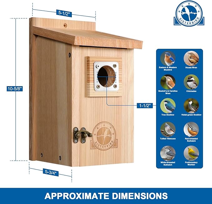 SISTERBIRD Bird Houses for Outside 1-1/2” Entrance Hole Cedar Birdhouses with Metal Guard Outdoor Bluebird Wren Swallow Finch Asssembly Required