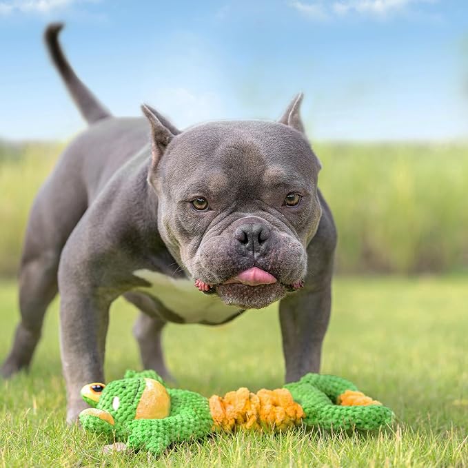 Sedioso Dog Tug Toy, Durable Dog Toy for Large Breed, Tug of War Dog Squeaky Toys, Stuffed Plush Dog Toy with Crinkle Paper for Small, Middle, and Big Dogs(Frog)