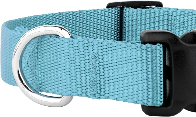 Country Brook Petz - Everyday Nylon Dog Collar and Leash - 10+ Cool Colors (3/4 Inch, Small, Ocean Blue)