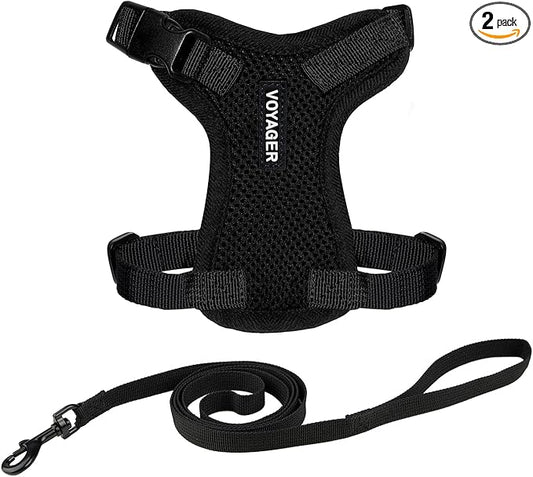Voyager Escape-Proof Step-in Lock Cat Harness & 5ft Neoprene-Handle Leash Set All-Weather Mesh with Reflective Stitching for Small to Large Cats by Best Pet Supplies, Black, XXXS