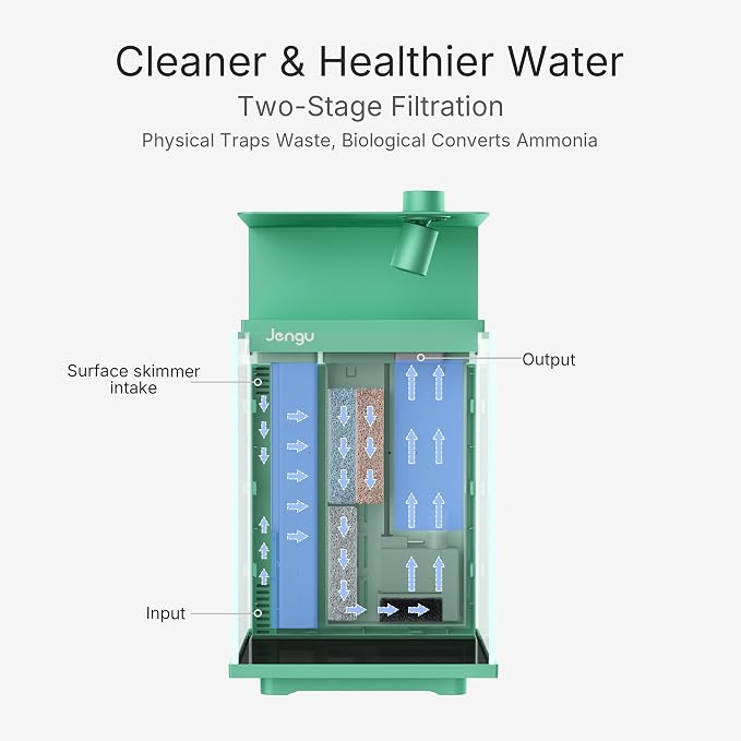 2.1 Gal Betta Fish Tank, Ultra Clear Glass Desktop Aquarium Starter Kit | Hidden Back Filter, Quiet Pump, LED Light, All-in-One Nano Aquarium for Desk, Green