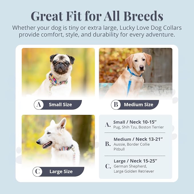 Lucky Love Dog Martingale Collar, Premium No Slip Martingale Collar for Small Boy Dogs, Great for Whippets, Greyhounds, and More (Small, Blue Laguna)