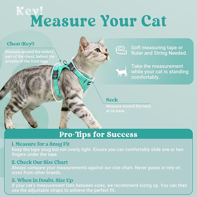 rabbitgoo Cat Harness and Leash, Escape Proof Vest with 3 Adjustable Buckles, Soft Comfortable Kitten Harness, Easy to Wear, Reflective for Safe Outdoor Walking, Medium, Green