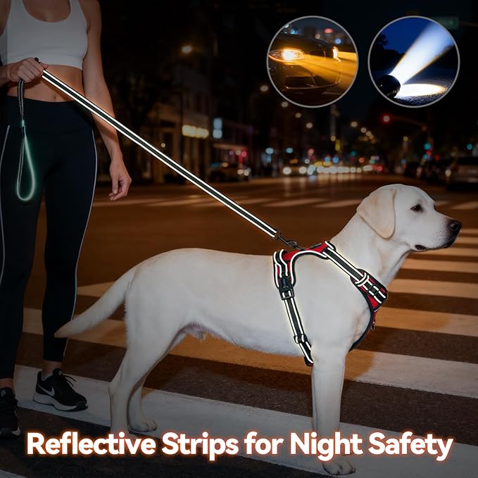PHOEPET No Pull Dog Harness Medium Reflective Front Clip Puppy Vest with Handle,Adjustable 2 Metal Leash Attachment Hooks(M, Red)