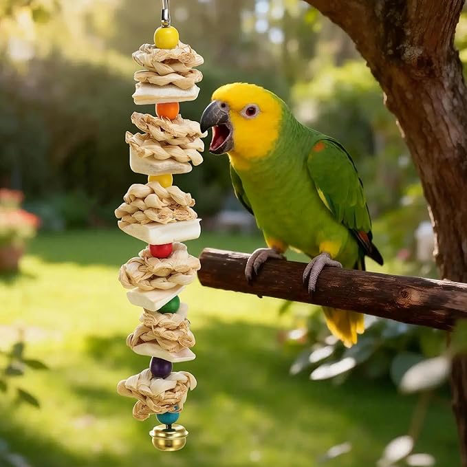 Bird Toys with Cuttlebone, Prevent Destructive Chewing, Grinding Stone for Bird, White, Colorful, 2 Pcs