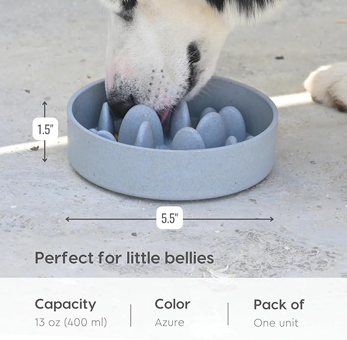 Slow Feeder for Dogs|Dog Bowl Small|400 Ml|Pet Bowl Made with Rice Husk and Bamboo Fibers|Dog Food Bowl|
