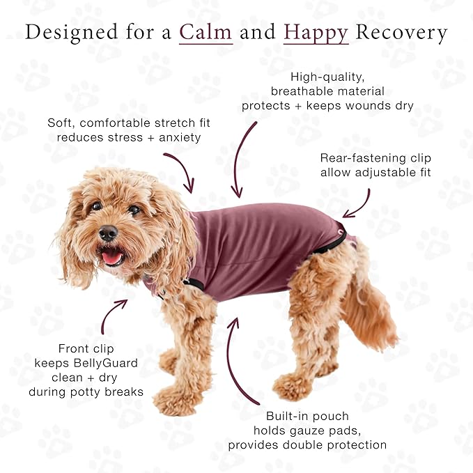 BellyGuard Dog Surgery Recovery Suit, Dog Onesie for Post-Op Care, Recovery Apparel for Female and Male, Surgical Body Cover for Canine Healing Support
