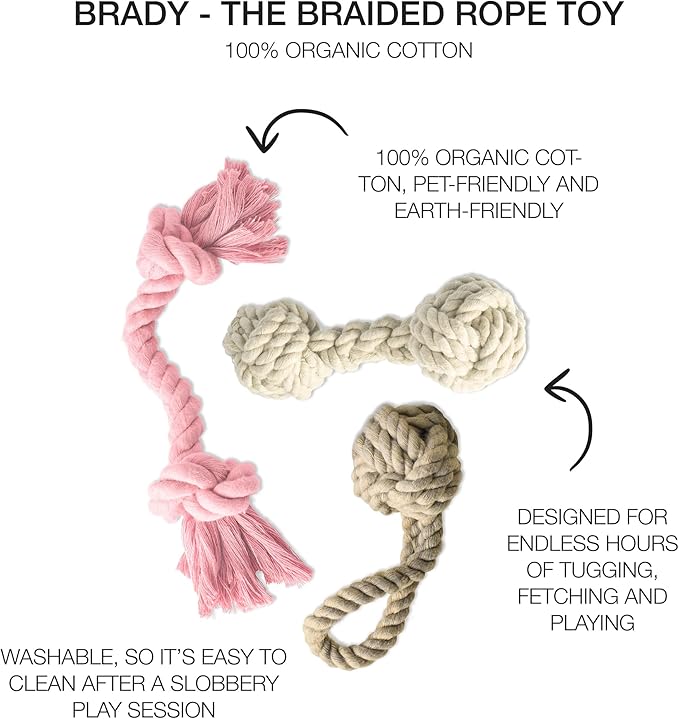 Pet Passion Brady The Rope Tug Toy 3-Pack Organic Cotton Dog Rope Pull Toys for All Pet Breeds, Pink Salt, One Size