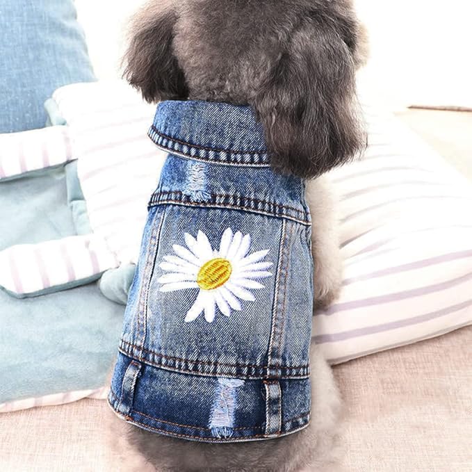 Pawstrip Dog Denim Jacket with Embroidered Daisy, Ripped Vintage Jean Vest for Small Dogs, Puppy, Pugs, Chihuahuas, Spring Summer Fall Festival Outfit, XS (Fits Chest 9-10")