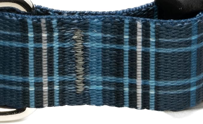 Country Brook Petz - Navy Plaid Everyday Dog Collar and Leash - Plaid and Argyle Collection Featuring Charming Designs (1 Inch, Large)