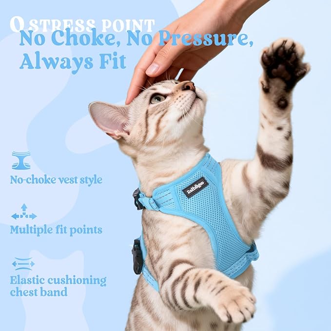 rabbitgoo Cat Harness and Leash, Escape Proof Vest with 3 Adjustable Buckles, Soft Comfortable Kitten Harness, Easy to Wear, Reflective for Safe Outdoor Walking, Medium, Sky Blue