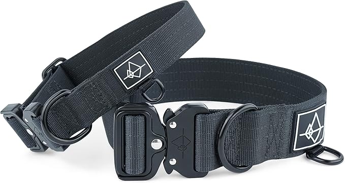 Made to ROAM Premium Dog Collar - Adjustable Heavy Duty Nylon Collar with Quick-Release Metal Buckle (New York Afterlight, Classic Size 2)
