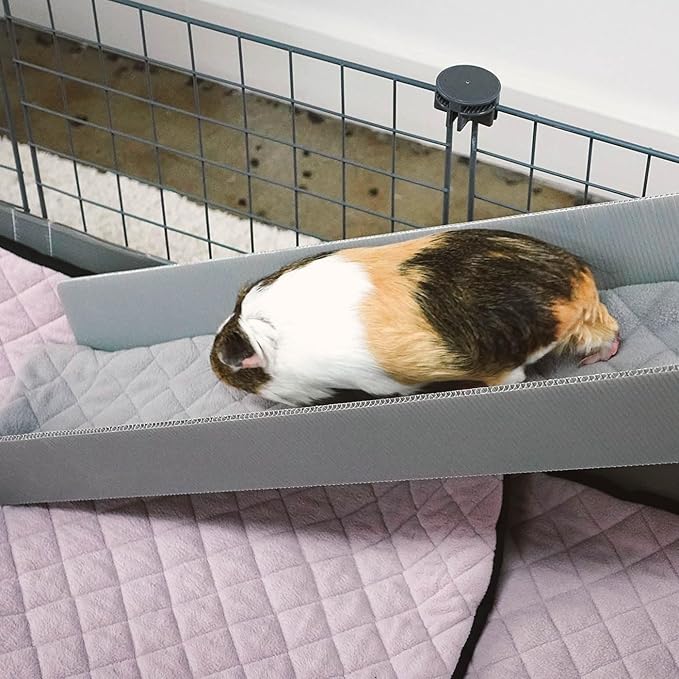GuineaDad Piggy Condo – Premium C&C Cage with Balcony & Ramp for Guinea Pigs & Small Animals with Coroplast Base | Acrylic and C&C Grids for Small Pets (C&C Grids, XL (29" x 73.5" x 28.5"))