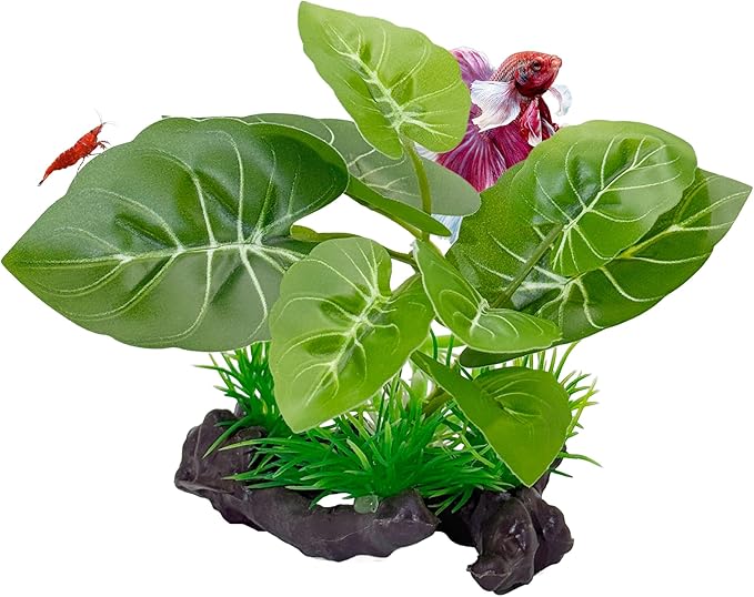 CTWPets Betta Driftwood Decor – Soft Silk Aquarium Plant for Betta Fish, Shrimp, and Tropical Tanks – Safe, Vibrant Aquascape Decoration (Heartleaf)