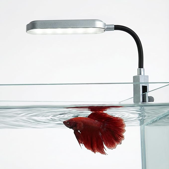 Slim Clip-On Aquarium Light 360° Adjustable LED Fish Tank Light for 1-5 Gallon Tanks, Enhances Fish Colors and Supports Low-Light Plants