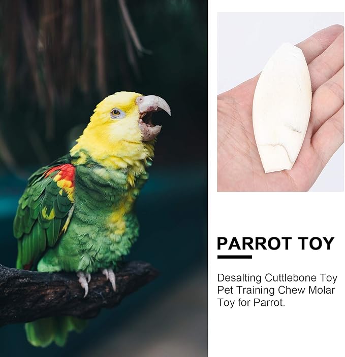 Baluue 12pcs Bird Cuttlebone Chew Toy Cuttlefish Bones Parrot Cage Toys Bird Bite Toy for Aquarium Reptile Tortoise Turtle Cockatiel 10cm