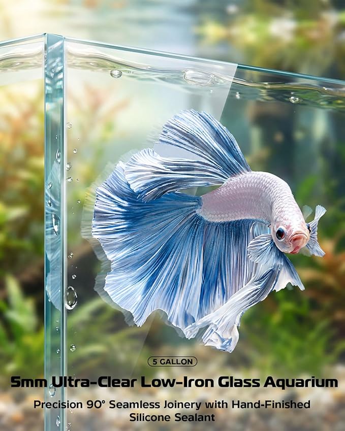 Glass Fish Tank Kit, 5 Gallon Betta Fish Tank Aquarium Starter Kit with Filter, Lights, Lid, for Betta, Goldfish, Small Fish or shrimg，Clear