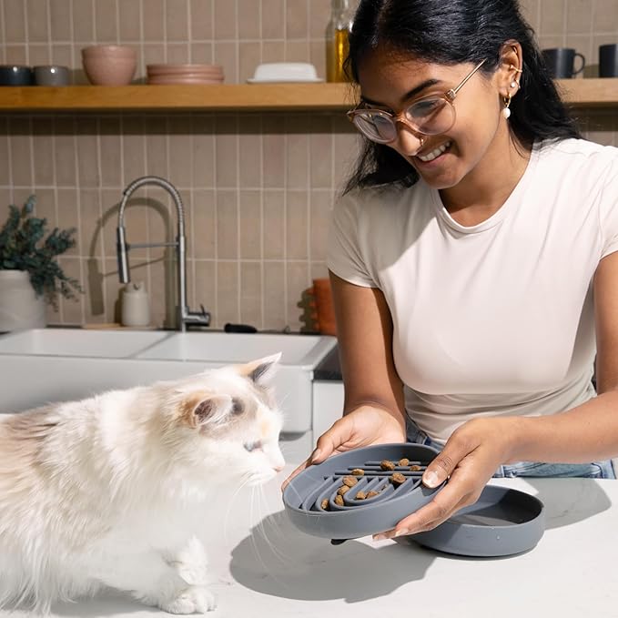Should We Go? - The Slowdown Bowl Silicone Slow Feeder for Cats & Kittens, Slow Eating Mealtime Solution with Modern Lick Mat Design, Reduces Gulping, Fits 1 Cup 6” Across x 1.25” Tall, Small-Tan