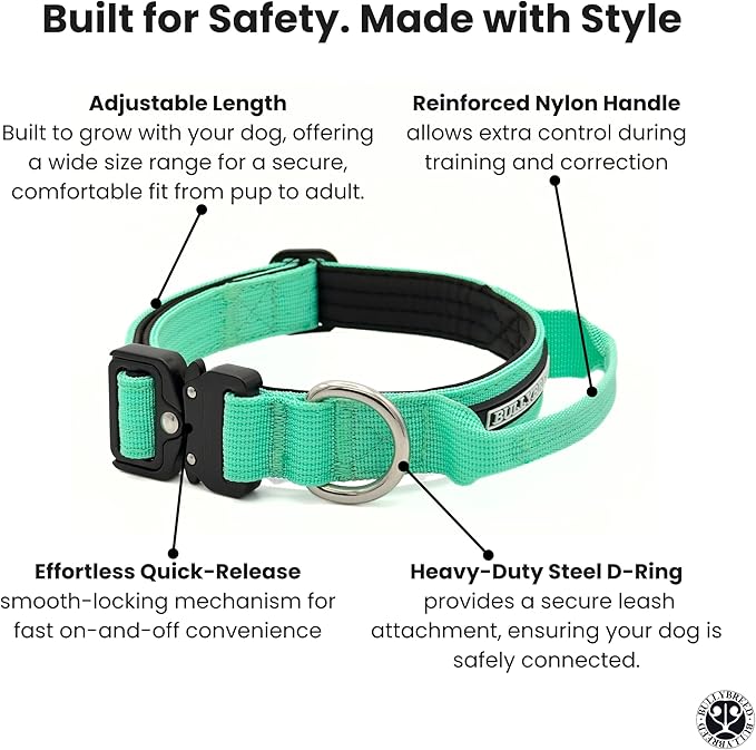 Tactical Dog Collar for Puppy, Heavy Duty Puppy Collar, Dog Collar for Small Dogs, Waterproof Dog Collar, Dog Training Collar, Quick-Release Buckle, Adjustable Sizes – BULLYBREED (Aquamarine, Small)
