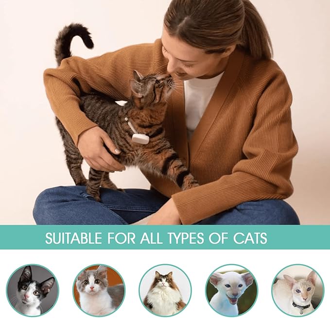 Korean Vegan Cat Dry Shampoo 300ml – Waterless Natural Foam Cleanser for a Kitten to Adult Cats,Soothing Damaged Skin, Removing Odors & Dander Reducing – Gentle & Waterless – Made in Korea