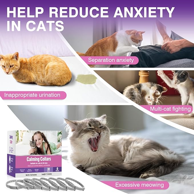 Tcllka Calming Collar for Cats 8 PK Cat Stress and Anxiety Relief Pheromone Calming Collar for Cats Anti Aggression for Cats Collar for Cats Anti Aggression for Cats Cat Calming Collars