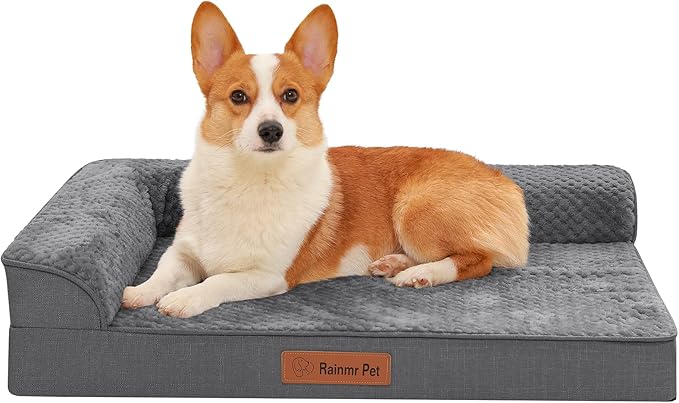 Rainmr Orthopedic Dog Bed Medium Size Dog, Memory Foam Dogs Bed for Medium Dogs, Washable Removable Cover, Nonskid Bottom, Waterproof, for Indoor, Outdoor, Crate ＆ Car Use, 35x23x6 Inches, Dark Grey