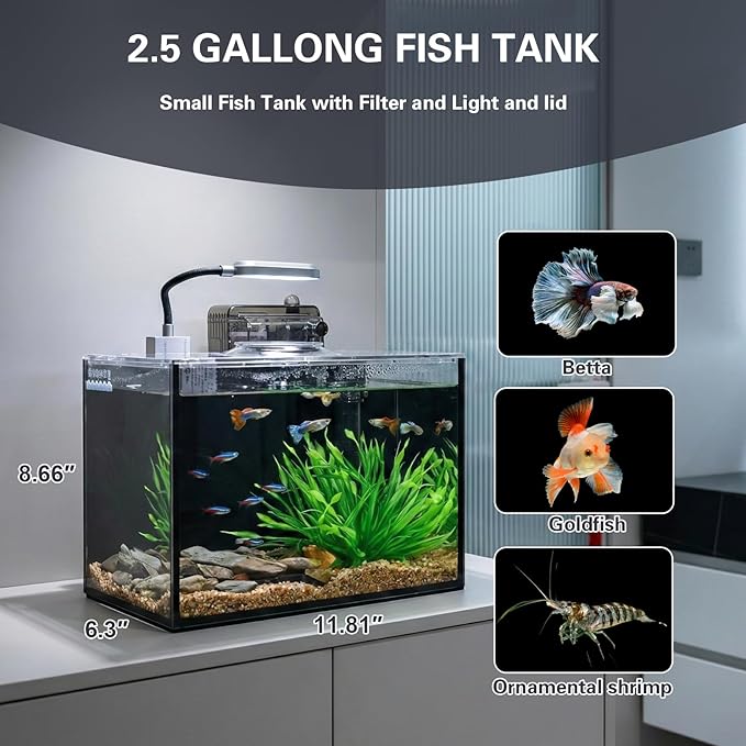 2.5 Gallon Small Aquarium Set Glass Fish Tank,Desktop Small Aquarium Kit for Beginners and Children to Keep Betta Fish, Goldfish, Shrimp, and Aquatic Plants (Black, 2.5 Gallon (Complete Kit) ﻿)